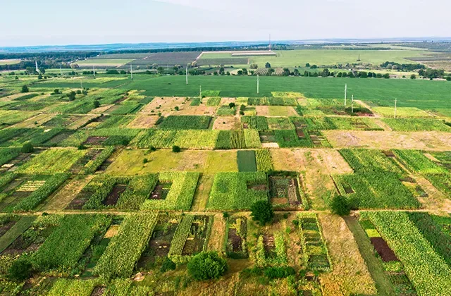 Irrigation system works